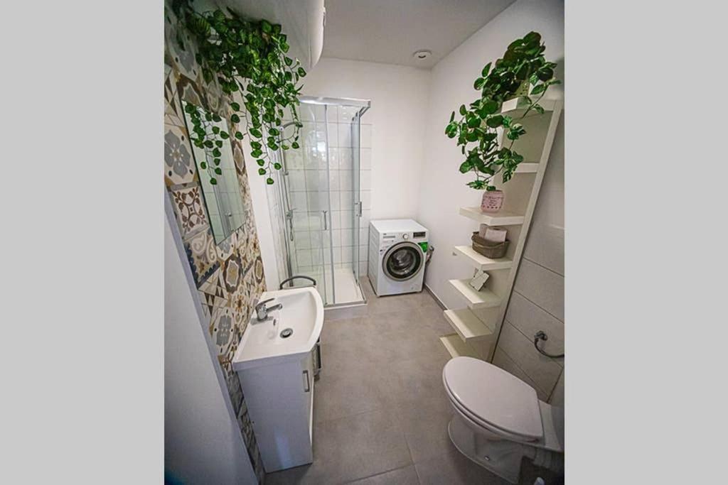 Apartament Rynek Лесна Екстериор снимка